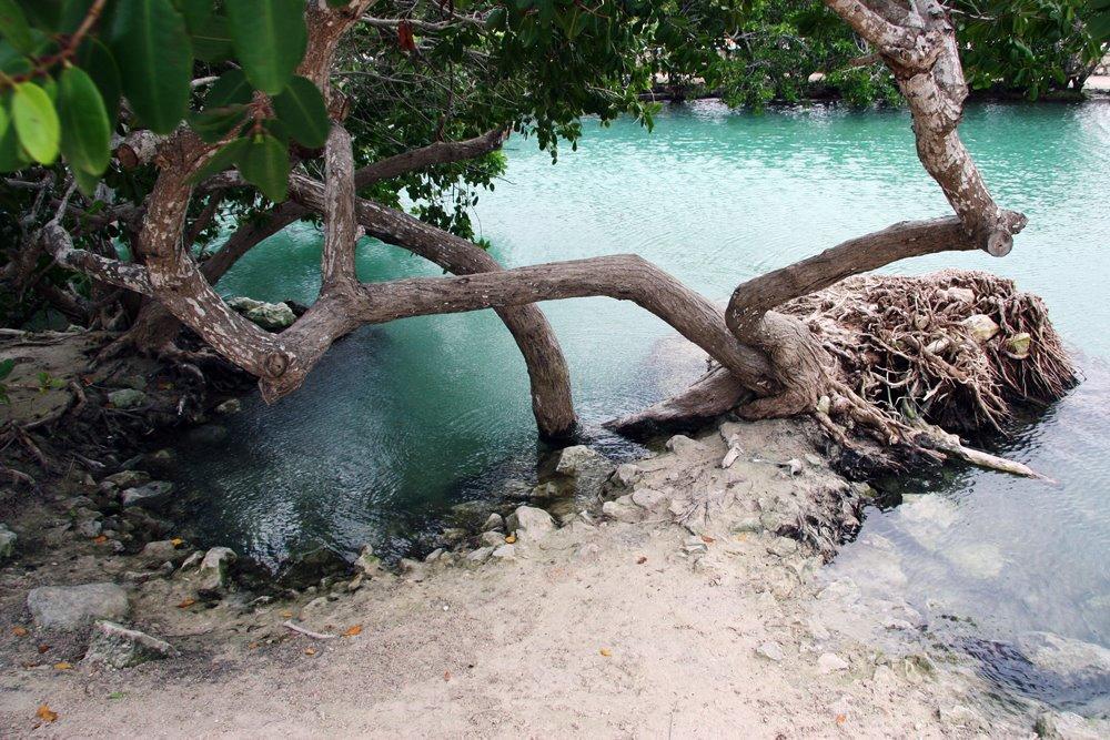 Casa Laguna Lagartos Hotell Río Lagartos Exteriör bild