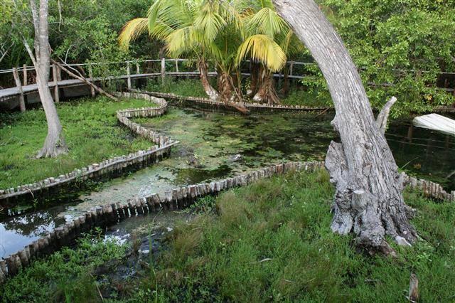 Casa Laguna Lagartos Hotell Río Lagartos Exteriör bild